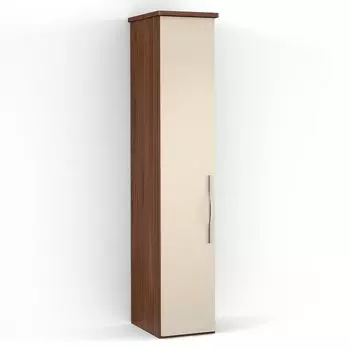 Однодверный шкаф ASTI AS2809.0