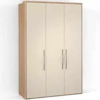 Трехдверный шкаф ASTI AS1515.3