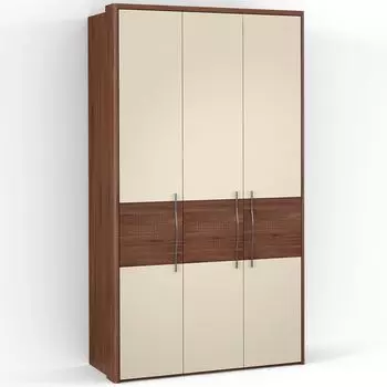 Трехдверный шкаф ASTI AS2512.1