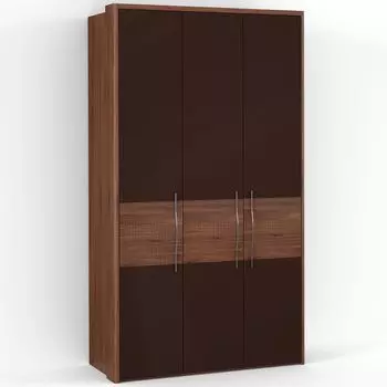 Трехдверный шкаф ASTI AS2512.2