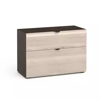 Тумба с двумя ящиками Turin TR2042.1