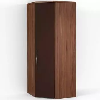 Угловой шкаф ASTI AS2206.8