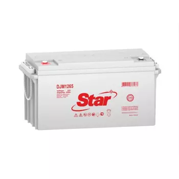 Аккумуляторная батарея для ИБП STAR DJM1265, 12V, 65Ah