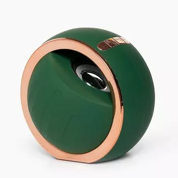 Акустика портативная F33, 3 Вт, FM, USB, microSD, Bluetooth, зеленый (119058)