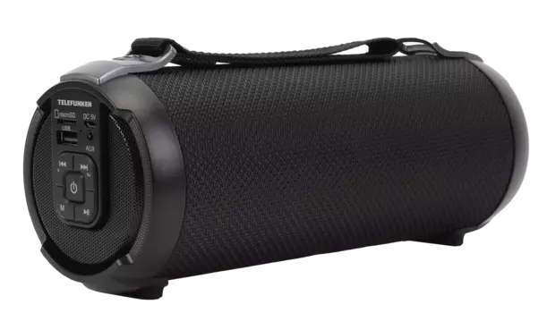 Портативная акустика Telefunken TF-PS1243B, 15 Вт, FM, USB, microSD, Bluetooth, черный