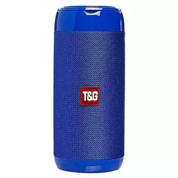 Акустика T&amp;G TG113C