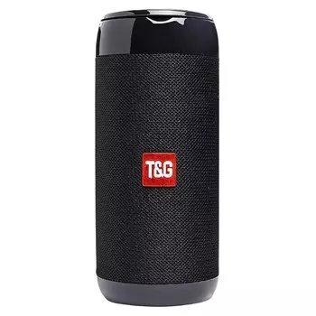 Акустика T&amp;G TG113C