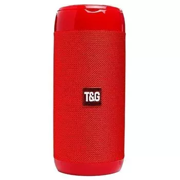 Акустика T&amp;G TG113C