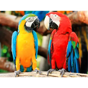 Алмазная мозаика ОСТРОВ СОКРОВИЩ "Попугаи", 1 шт, 50 см x 40 см (662413)