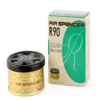 Ароматизатор меловой SPIRIT REFILL R90 - SQUASH