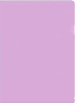 БЮРОКРАТ пластик, фиолетовый (-EPAST/VIO)