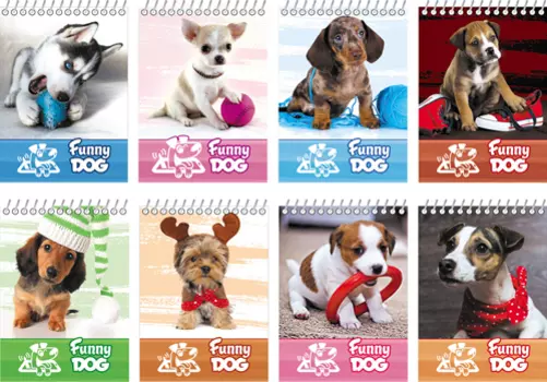 Блокнот БиДжи Art Funny puppy, A7, клетка, 40 листов, ассорти (846) (1шт.)