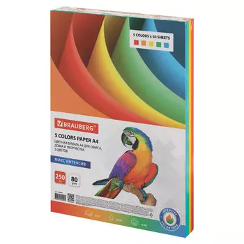 Бумага A4 80 г/м 250 листов, радуга интенсив (5цветов) BRAUBERG Color Paper (112464)