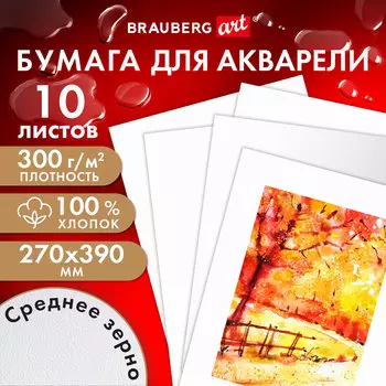 Бумага для акварели 10 листов, 270х390 мм, 300 г/м, картон, белый, BRAUBERG ART PREMIERE (115336)
