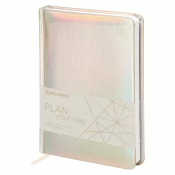 Ежедневник недатированный A5 BRAUBERG Holiday, в линейку, 136 листов серебристый (111867)