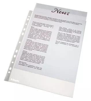 Файл-вкладыш Esselte, А4, 46 мкм, матовая поверхность, 100 шт. (828870)