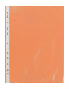 Файл-вкладыш Expert Complete, А4, 35 мкм, матовая поверхность, 100 шт. (ЕС260804)