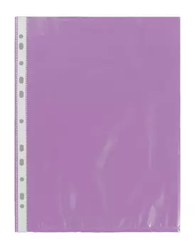 Файл-вкладыш Expert Complete, А4, 35 мкм, матовая поверхность, 50 шт. (ЕС260803)