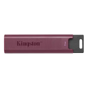 Флешка 1Tb USB 3.2 Gen 2 Type-A Kingston DataTraveler MaxA DTMAXA/1TB, бордовый (DTMAXA/1TB)