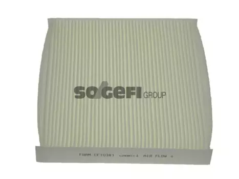 FRAM для Hyundai, Kia (CF10381)