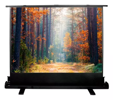 Экран для проектора Cactus 135x180см FloorExpert CS-PSFLE-180X135 4:3 напольный рулонный (CS-PSFLE-180X135)