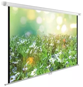 Экран для проектора Cactus 200x200см WallExpert CS-PSWE-200x200-WT 1:1 настенно-потолочный рулонный (CS-PSWE-200X200-WT)