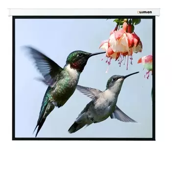 Экран для проектора Lumien Master Picture 203x203 (W 197х197, 2100) MW FiberGlass (LMP-100104)