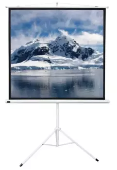 Экран для проектора напольный рулонный Sakura-Printing TriScreen, 111", 1:1, 200x200см, белый матовый (SCPST-200x200)