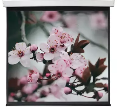 Экран для проектора настенный с электроприводом Digis DSEF-1106 (Electra-F, формат 1:1, 112", 206x209, рабочая поверхность 200x200, MW)