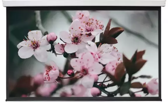 Экран для проектора настенный с электроприводом Digis DSEF-16906 (Electra-F, формат 16:9, 135", 308x178, рабочая поверхность 300x168, MW)