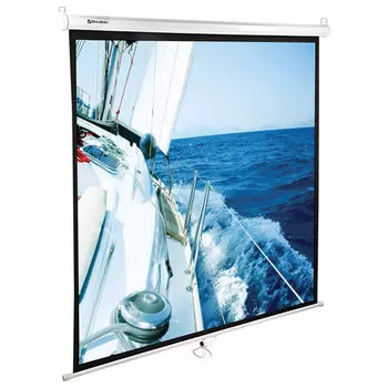 Экран для проектора рулонный Brauberg WALL 236727, настенно-потолочный, 114" 1:1 202x202 MW (236727)