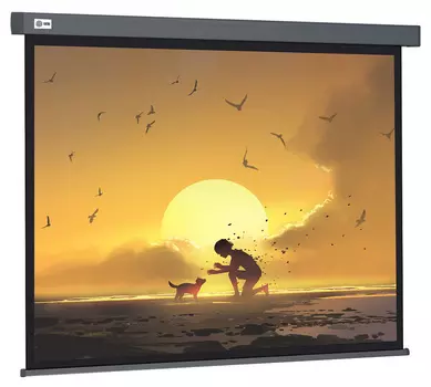 Экран для проектора рулонный Cactus Wallscreen CS-PSW-124X221-SG, настенно-потолочный, 103" 16:9 124x221 , серый (CS-PSW-124X221-SG)