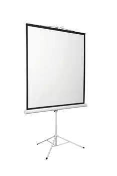 Экран для проектора рулонный Digis KONTUR-D DSKD-1108, на штативе, 135" 1:1 248x250 MW