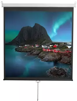 Экран для проектора рулонный Digis Optimal-D DSOD-1105, настенно-напольный, 112" 1:1 206x209 MW (DSOD-1105)