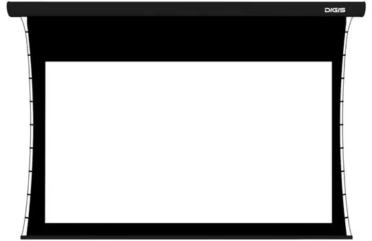 Экран для проектора рулонный Digis X-Tension DSTPX-16913-A, настенно-потолочный моторизированный, 135" 16:9 316x208 MW, ПДУ (DSTPX-16913-A)