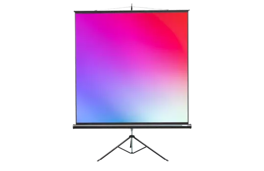 Экран для проектора рулонный Lumien Master View Master View, на штативе 4:3 183x244 MW (LMV-100108)