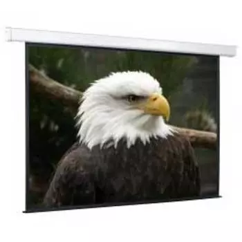 Экран для проектора рулонный ScreenMedia Champion 183х244, настенно-потолочный моторизированный 4:3 244x183 MW, экран, эл.привод (SCM-4304)
