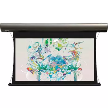 Экран для проектора с электроприводом Lumien Cinema Tensioned Control LCTC-100111 (184x286, 119")