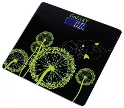 Электронные весы GALAXY GL4802, черный (GL4802)