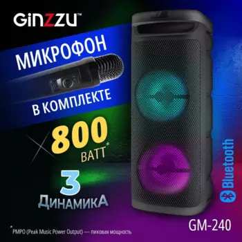 Караоке система 3.0 Ginzzu GM-240, 80 Вт, FM, AUX, USB, SD, microSD, Bluetooth, подсветка, черный (GM-240)
