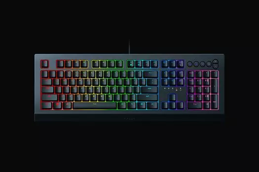 Клавиатура проводная Razer Cynosa V2, мембранная, подсветка, USB, черный (RZ03-03400700-R3R1)