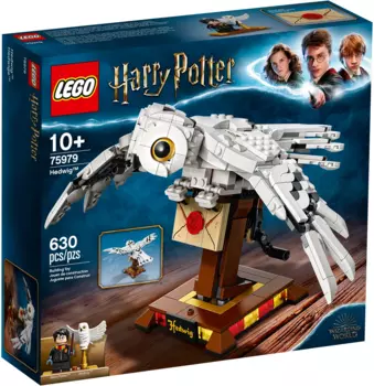 Конструктор LEGO Harry Potter Букля, деталей: 630 (75979)