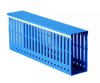 Короб перфорированный 40x60 мм, профиль + крышка, синий, 1 метр, отгрузка кратно 2 метрам!, DKC Quadro RL6 (01284RL)