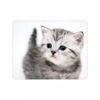 Коврик для мыши Buro Котенок, 230x180x2мм, принт (BU-M40087)