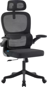 Кресло офисное Defender Varna черный (64052)