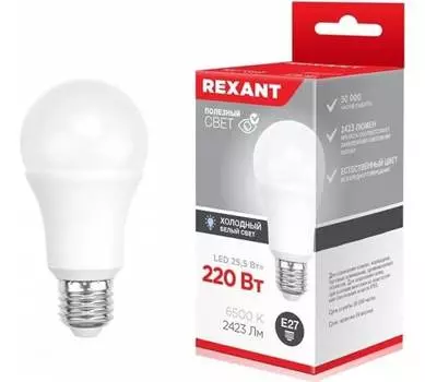 Лампа светодиодная E27 груша/A80, 25.5Вт, 6500K-6500K / холодно-белый, REXANT 604-202 (604-202)