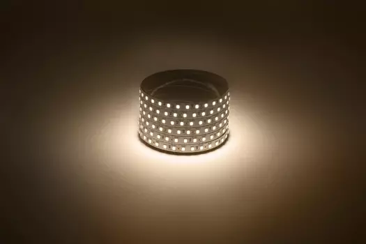Лента светодиодная LS2835 -120LED-IP20-WW, 5 м, PLS 2835, 120 шт./9.6 Вт на метр, 12V, 2700 K, теплый белый, IP20 Эра (Б0035596)