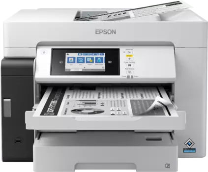 МФУ струйный Epson M15180, A3+, ч/б, 32 стр/мин (A4 ч/б), 4800x1200dpi, дуплекс, ДАПД-50 листов, факс, сетевой, Wi-Fi, USB, белый (C11CJ41408)
