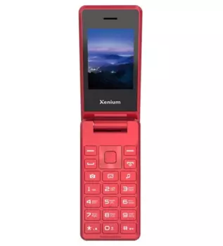 Мобильный телефон Xenium X600, 2.4" 320x240 TFT, MediaTek MTK6261D, 32Mb RAM, 32Mb, BT, 1xCam, 2-Sim, 1000 мА·ч, USB Type-C, красный (CTX600RD/00)