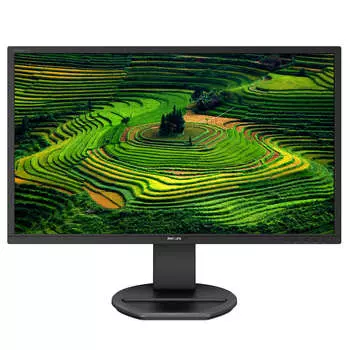 Монитор 21.5" Philips 221B8LJEB TN, 1920x1080 (16:9), 250кд/м2, 1мс, VGA, DVI, HDMI, DisplayPort, USB-Hub, черный